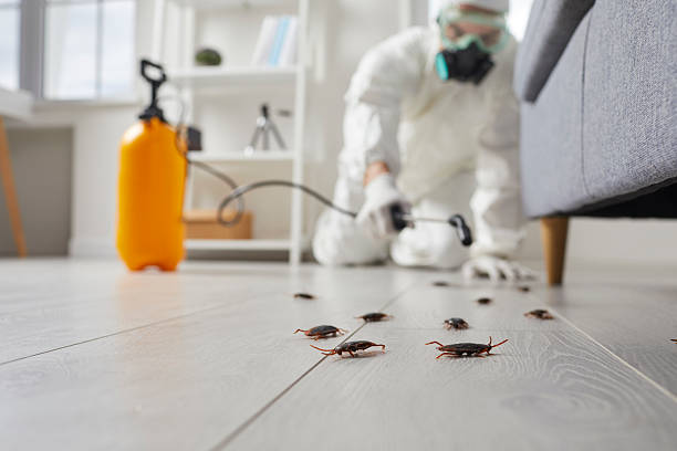Trusted Cockroach Control service in Purdy, WA - Nex Pest Control