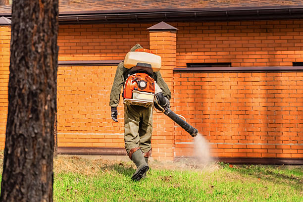 Trusted Mosquito Control service in Purdy, WA - Nex Pest Control